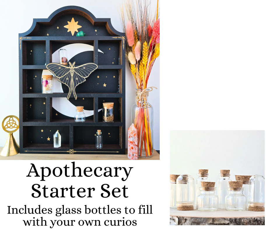 Luna Moth Shelf | Apothecary Cabinet | Crystal Shelf | oddities display | crystal storage | crystal shelves