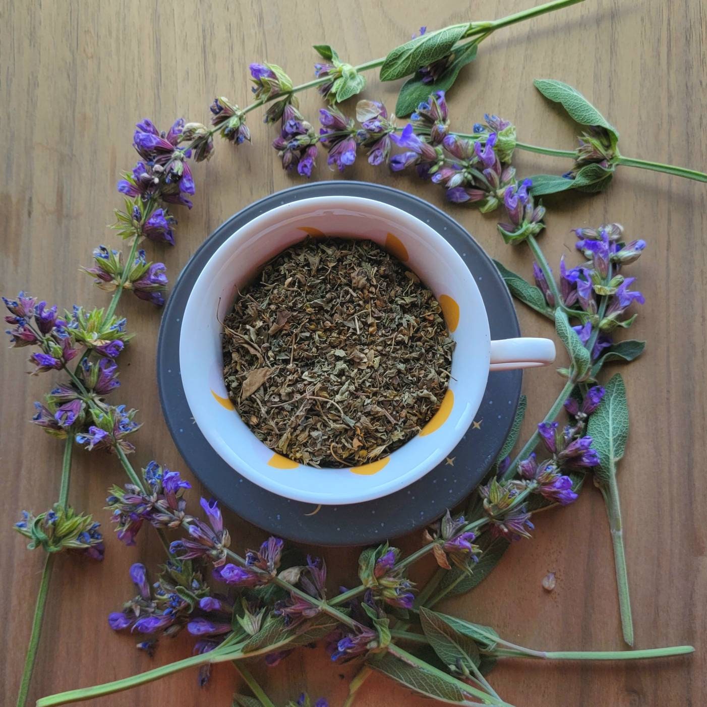 Dried Holy Basil Vana Tulsi | Ocimum gratissimum | Herb leaf | Witchcraft herbs | herbal tea | Magic supplies | Witches Apothecary