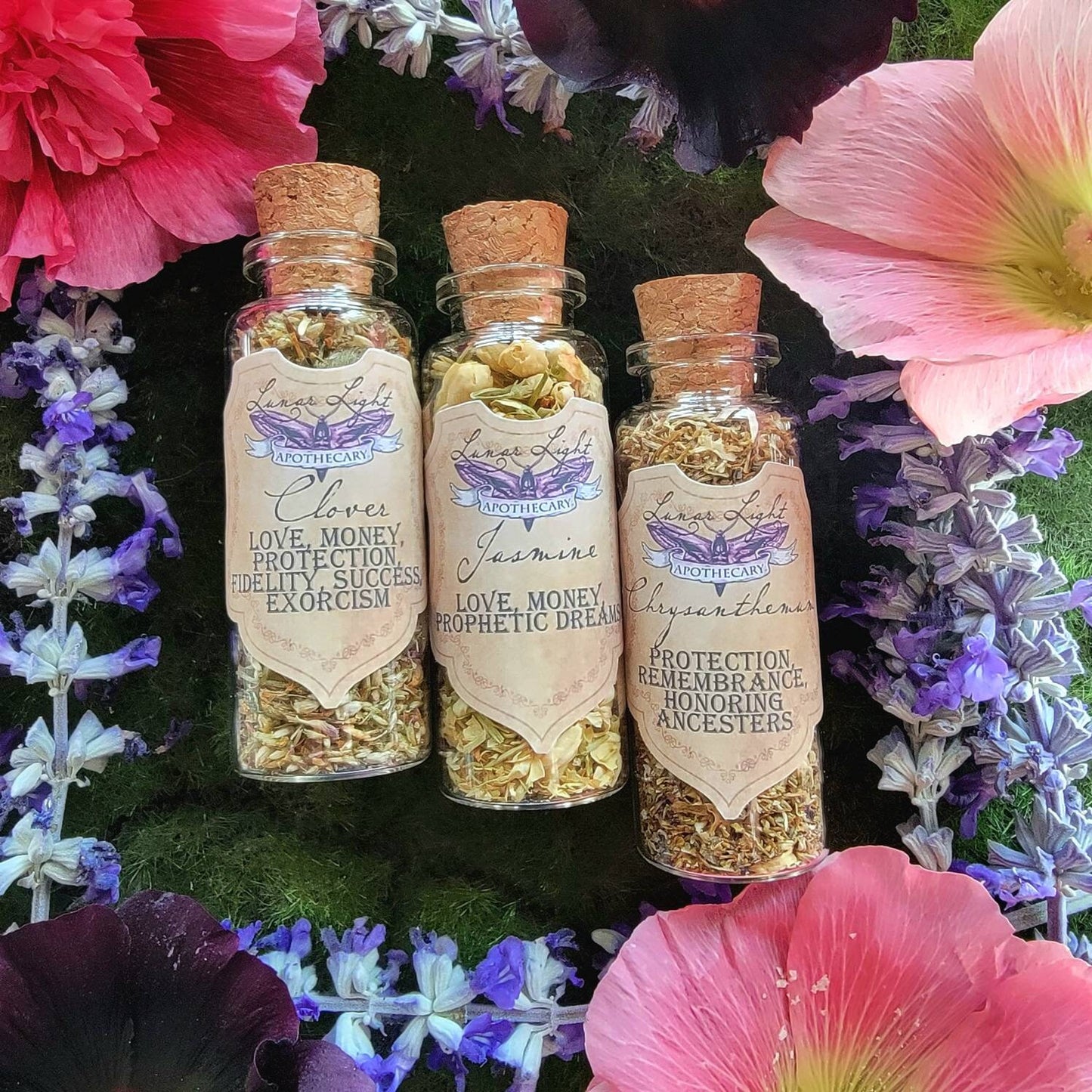 1.5 oz Herbal Bottles | Dried herb vial | Witchcraft herbs | Witches Apothecary | herbal tea | Spell supplies | loose incense | Herb jars