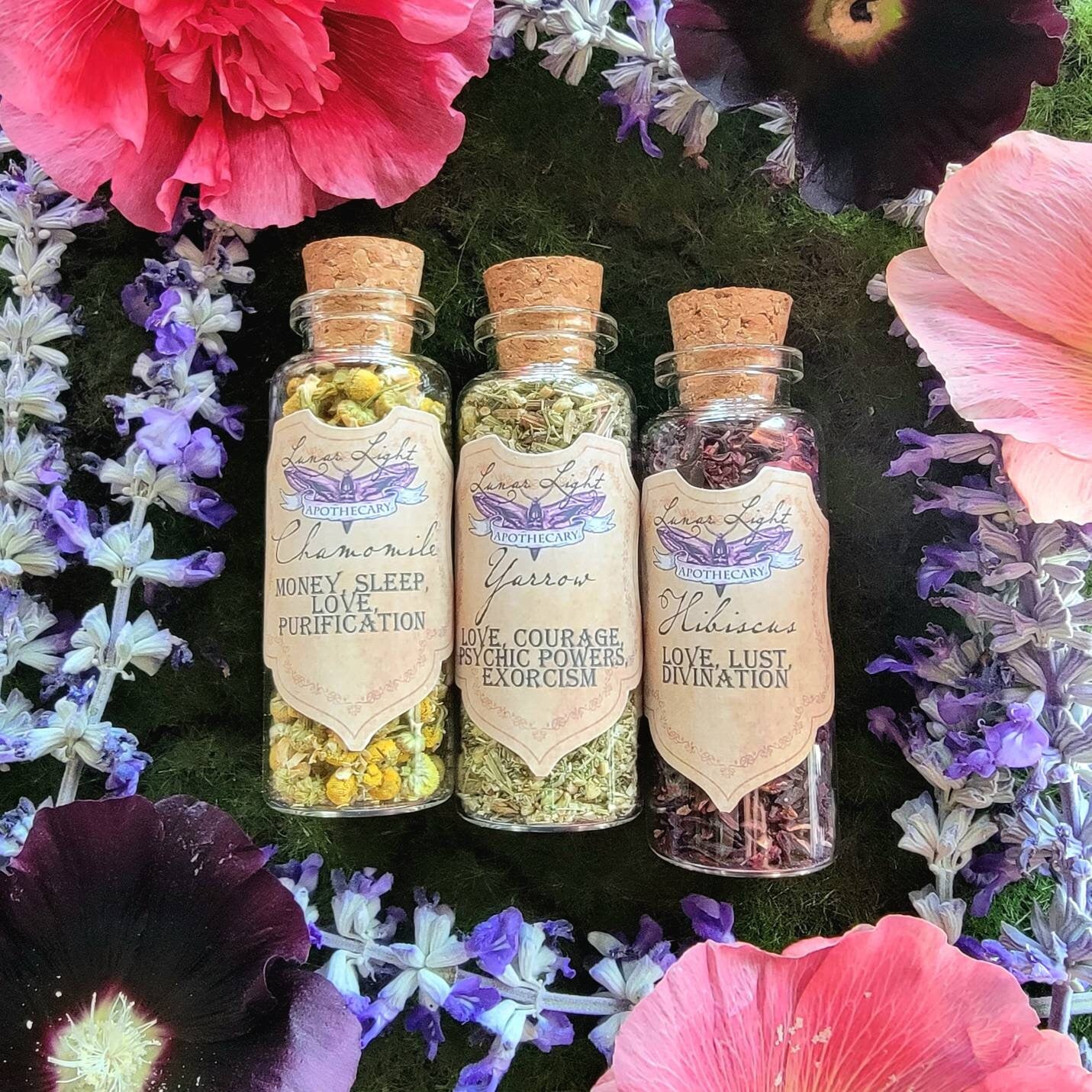 1.5 oz Herbal Bottles | Dried herb vial | Witchcraft herbs | Witches Apothecary | herbal tea | Spell supplies | loose incense | Herb jars