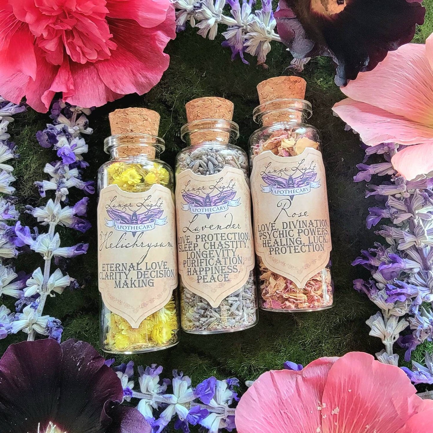 1.5 oz Herbal Bottles | Dried herb vial | Witchcraft herbs | Witches Apothecary | herbal tea | Spell supplies | loose incense | Herb jars