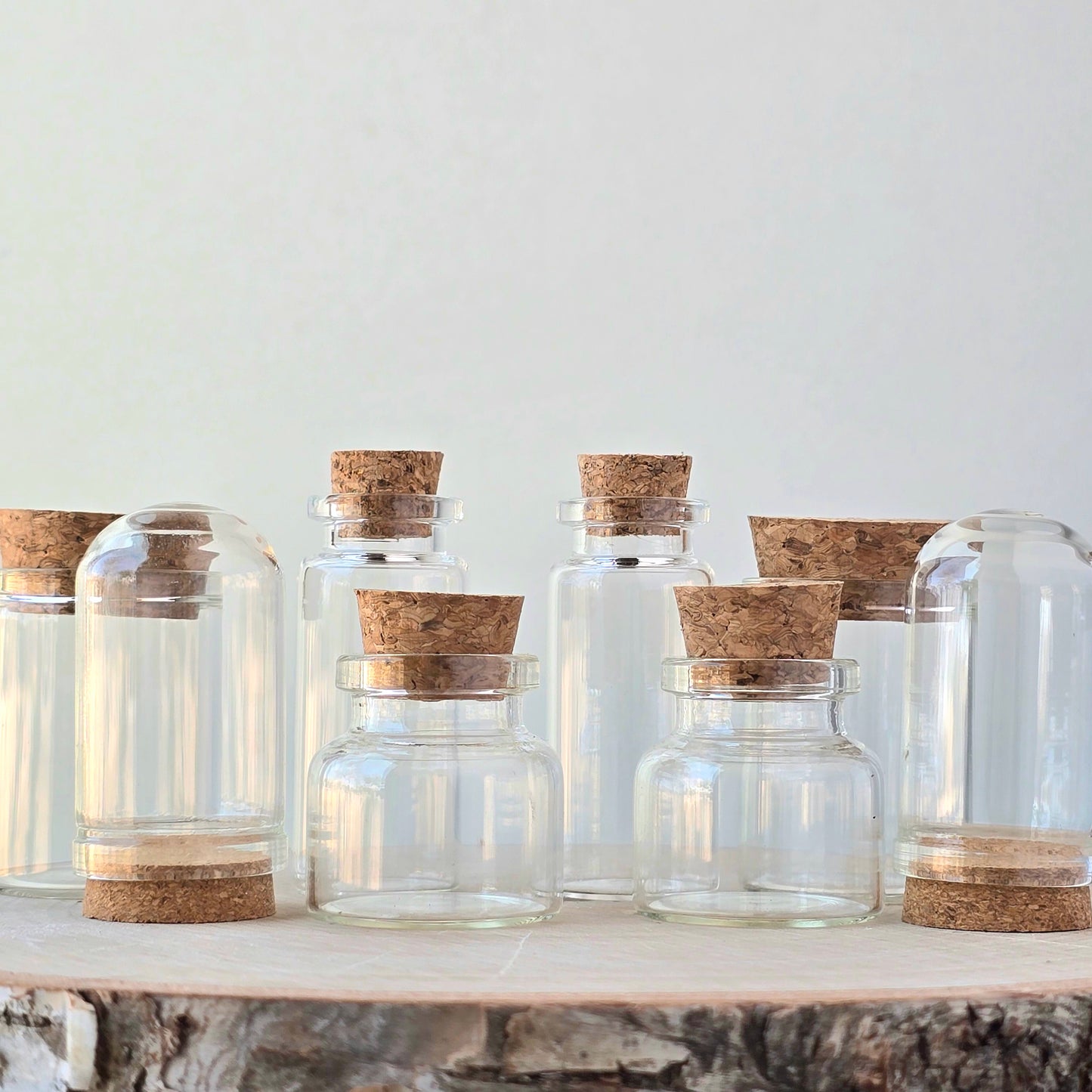 Mystery Vial Kit | curiosity cabinet items | oddities and crystals | curiosity trinkets | taxidermy oddities | taxidermy insects