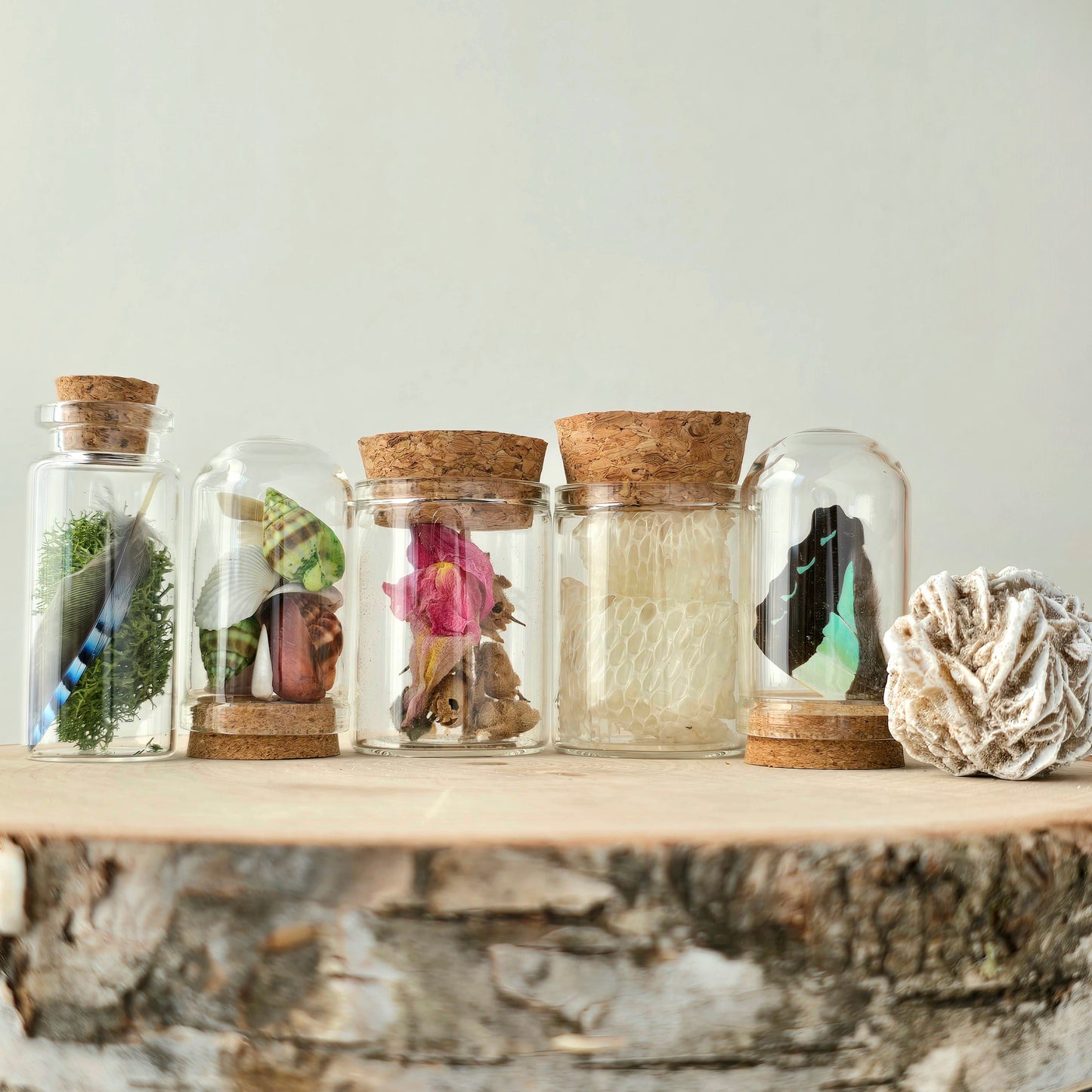 Earth & Spirit Curio Kit | curiosity cabinet items | oddities and crystals | curiosity trinkets | taxidermy oddities | taxidermy insects