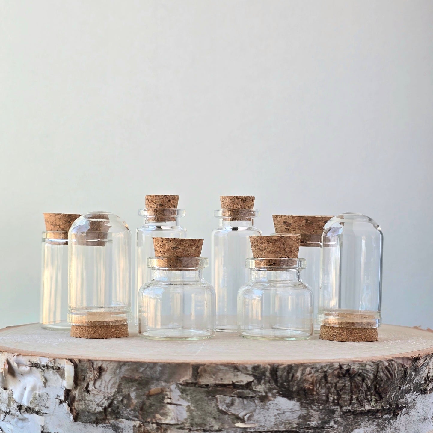Mystery Vial Kit | curiosity cabinet items | oddities and crystals | curiosity trinkets | taxidermy oddities | taxidermy insects