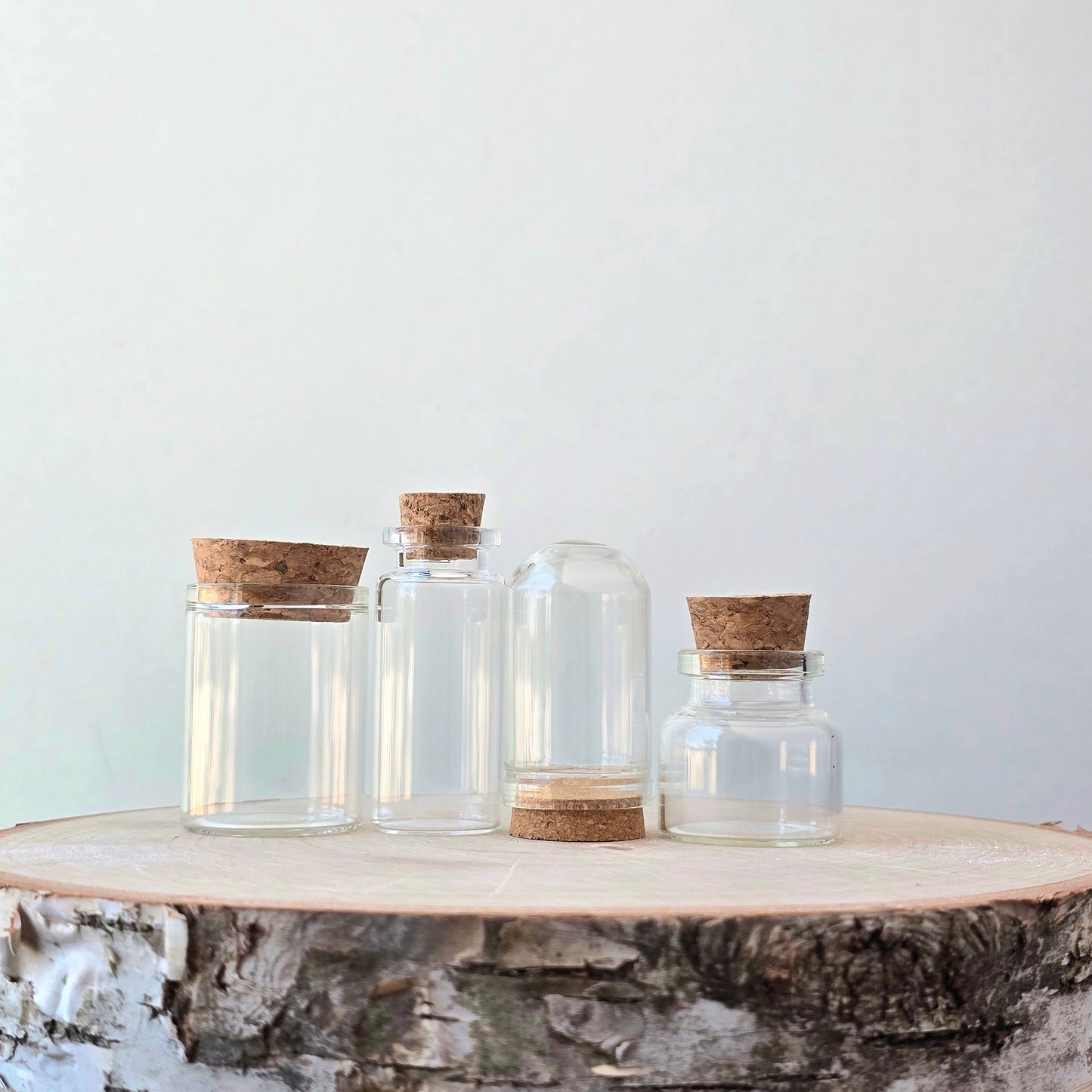 Mystery Vial Kit | curiosity cabinet items | oddities and crystals | curiosity trinkets | taxidermy oddities | taxidermy insects