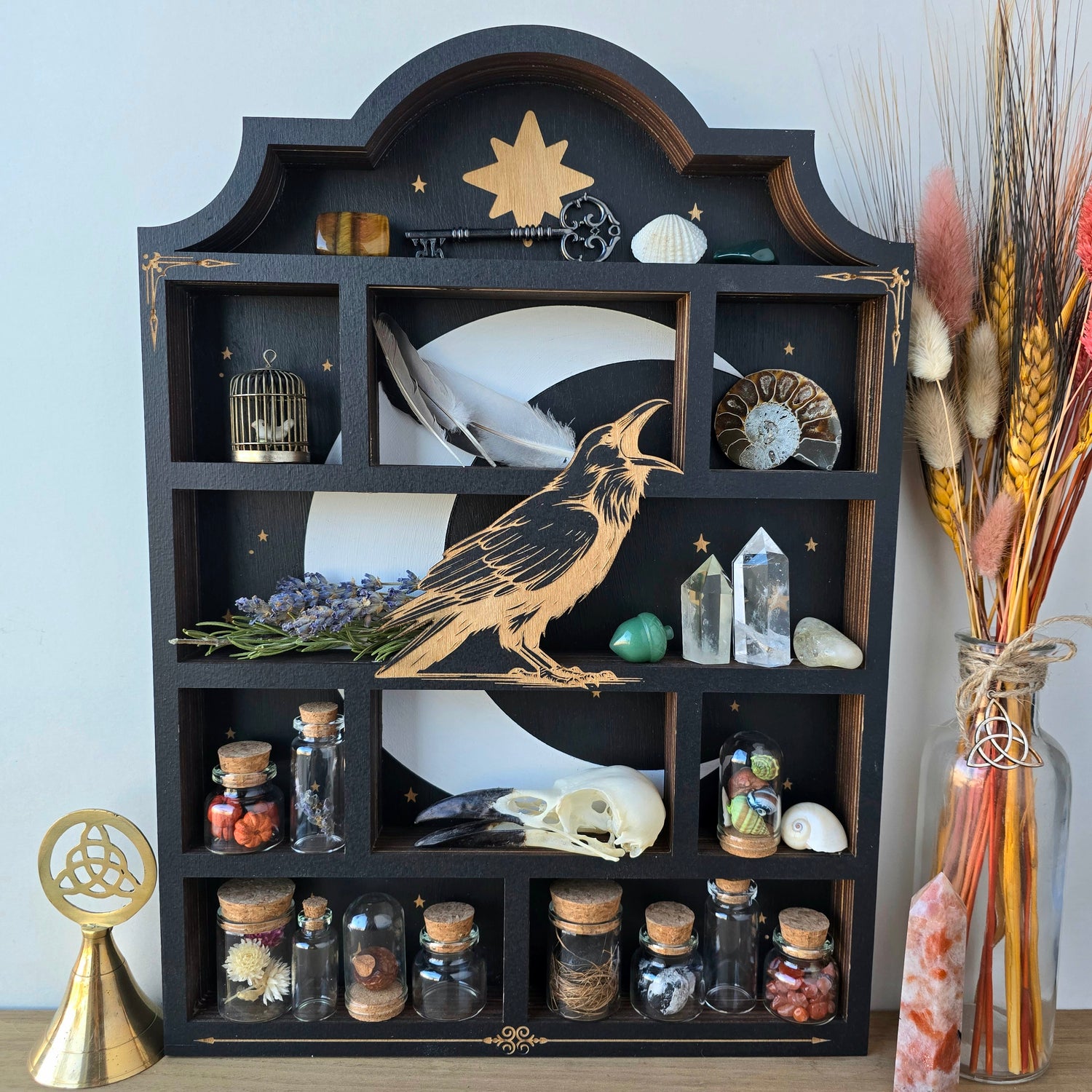 The Witch's Curios Collection