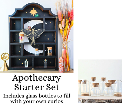 Luna Moth Shelf | Apothecary Cabinet | Crystal Shelf | oddities display | crystal storage | crystal shelves