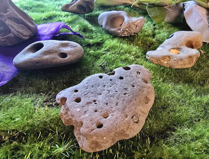 Natural Hag Stone | Witch Stone, Adder Stone & Fairy Stone