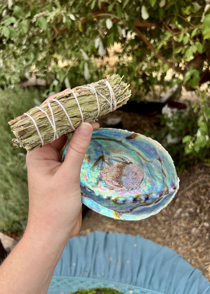 Natural Abalone Shell | Smudging Bowl & Ritual Altar Dish