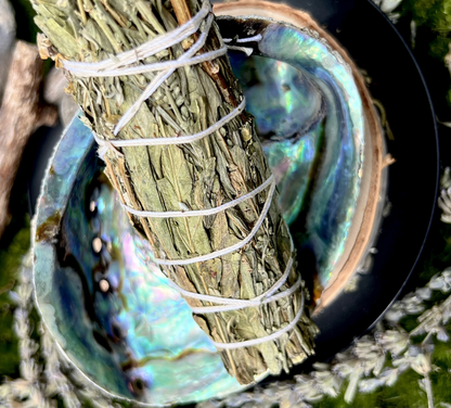 Natural Abalone Shell | Smudging Bowl & Ritual Altar Dish