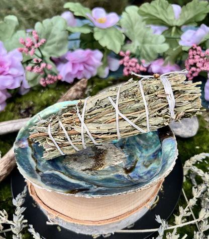 Natural Abalone Shell | Smudging Bowl & Ritual Altar Dish