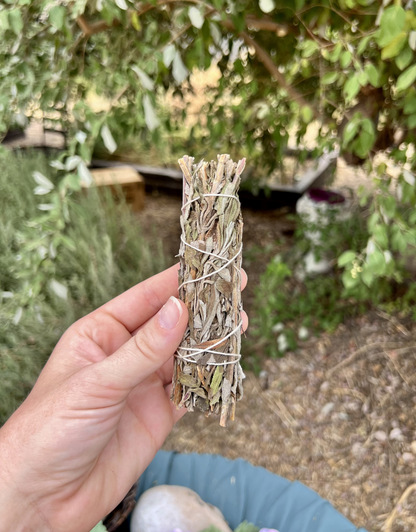 Black Sage Smudge Bundle | Dreamwork & Spiritual Protection