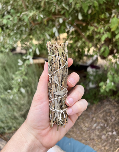 Black Sage Smudge Bundle | Dreamwork & Spiritual Protection