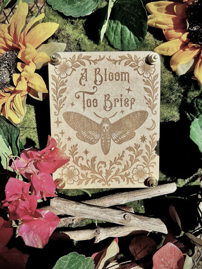 A Bloom Too Brief Flower Press – Small