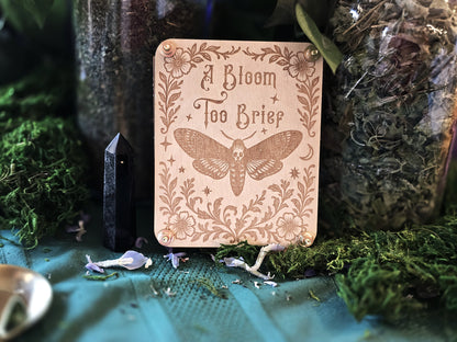 A Bloom Too Brief Flower Press – Small