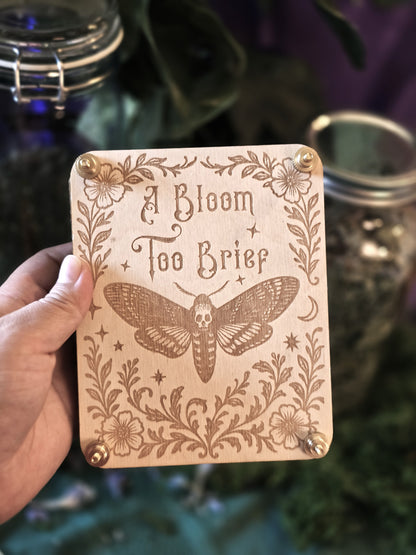 A Bloom Too Brief Flower Press – Small