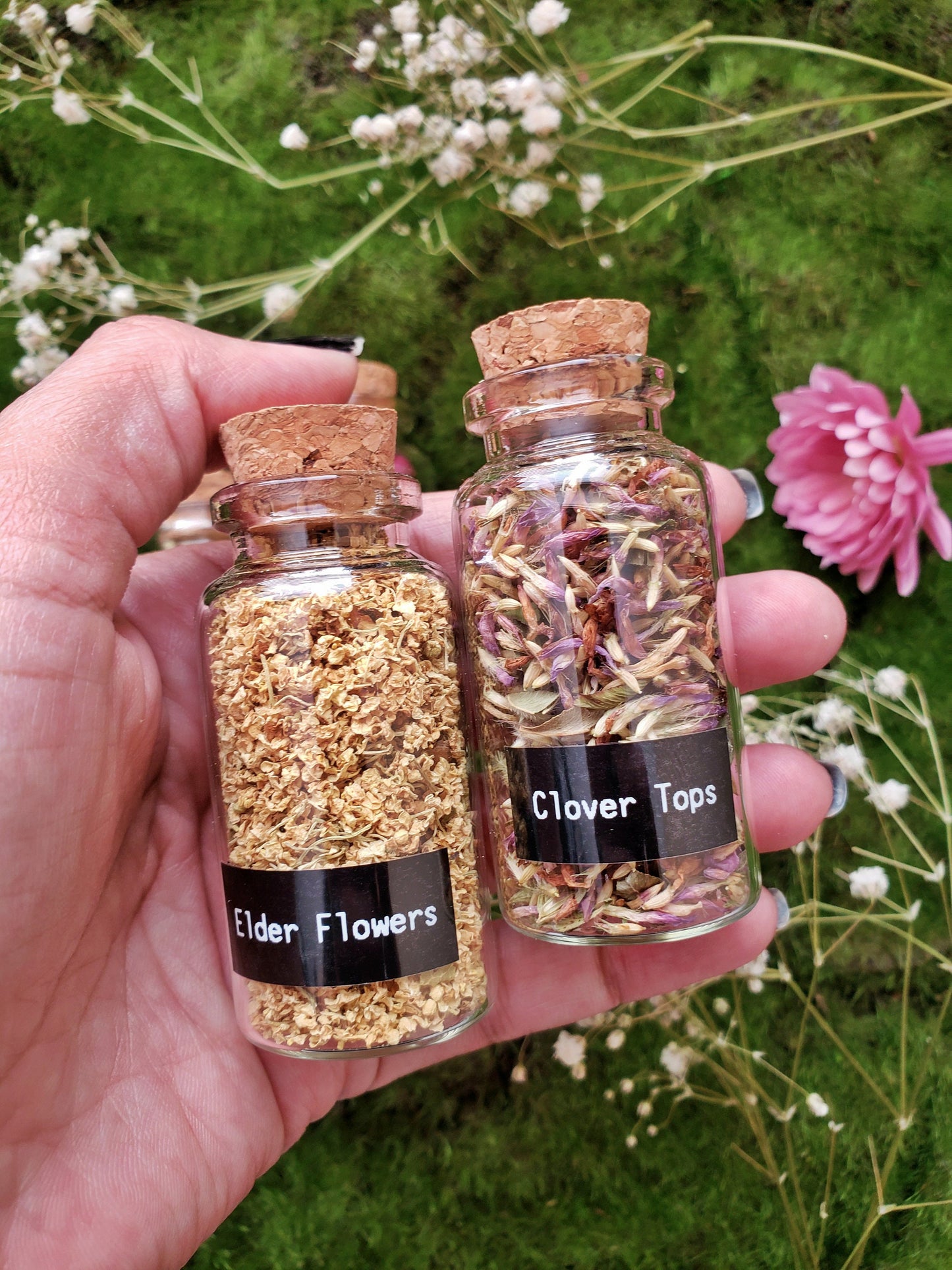 1.5 oz Herbal Bottles | Dried herb vial | Witchcraft herbs | Witches Apothecary | herbal tea | Spell supplies | loose incense  | H