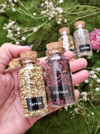 1.5 oz Herbal Bottles | Dried herb vial | Witchcraft herbs | Witches Apothecary | herbal tea | Spell supplies | loose incense  | H