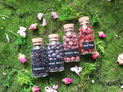 1.5 oz Berries and Fruit | Herbal Bottles | Witchcraft herbs | Rose Hip | Juniper | Hawthorn |Dried herb vial | herbal tea | Spell supply