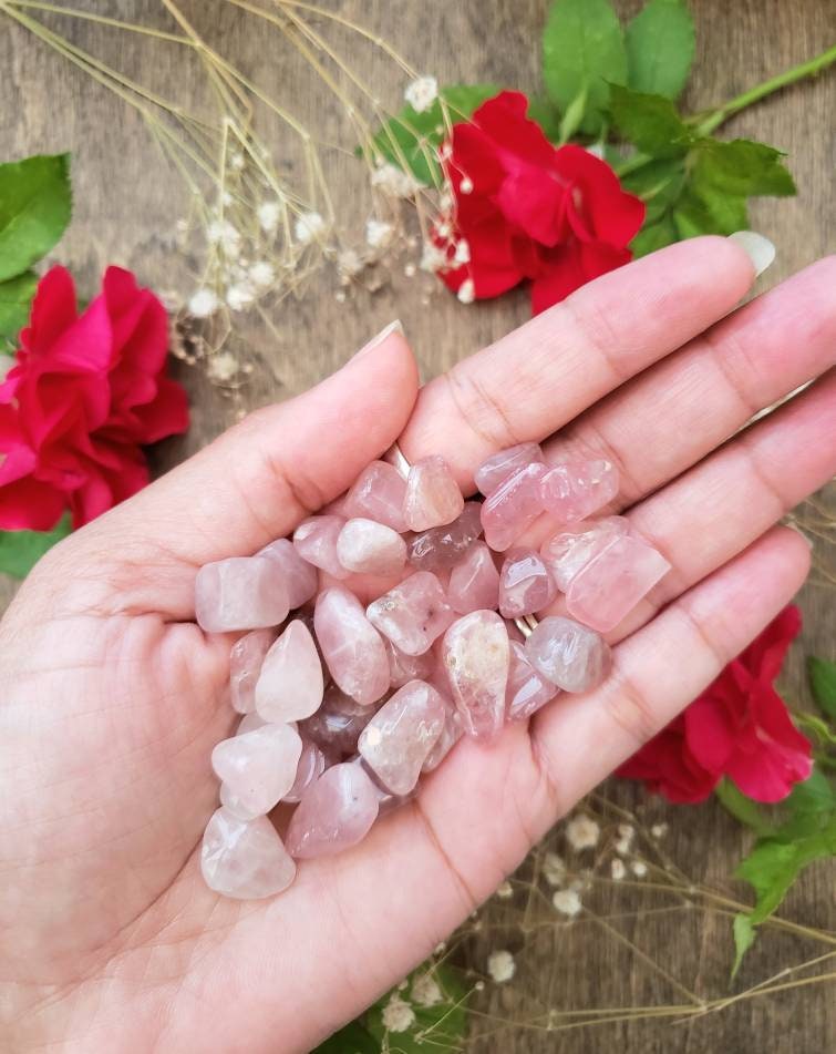 Rose Quartz Apothecary bottle | glass vial | natural tumbled crystal | heart chakra stone | crystal grid | Witchcraft supply | witch cabinet