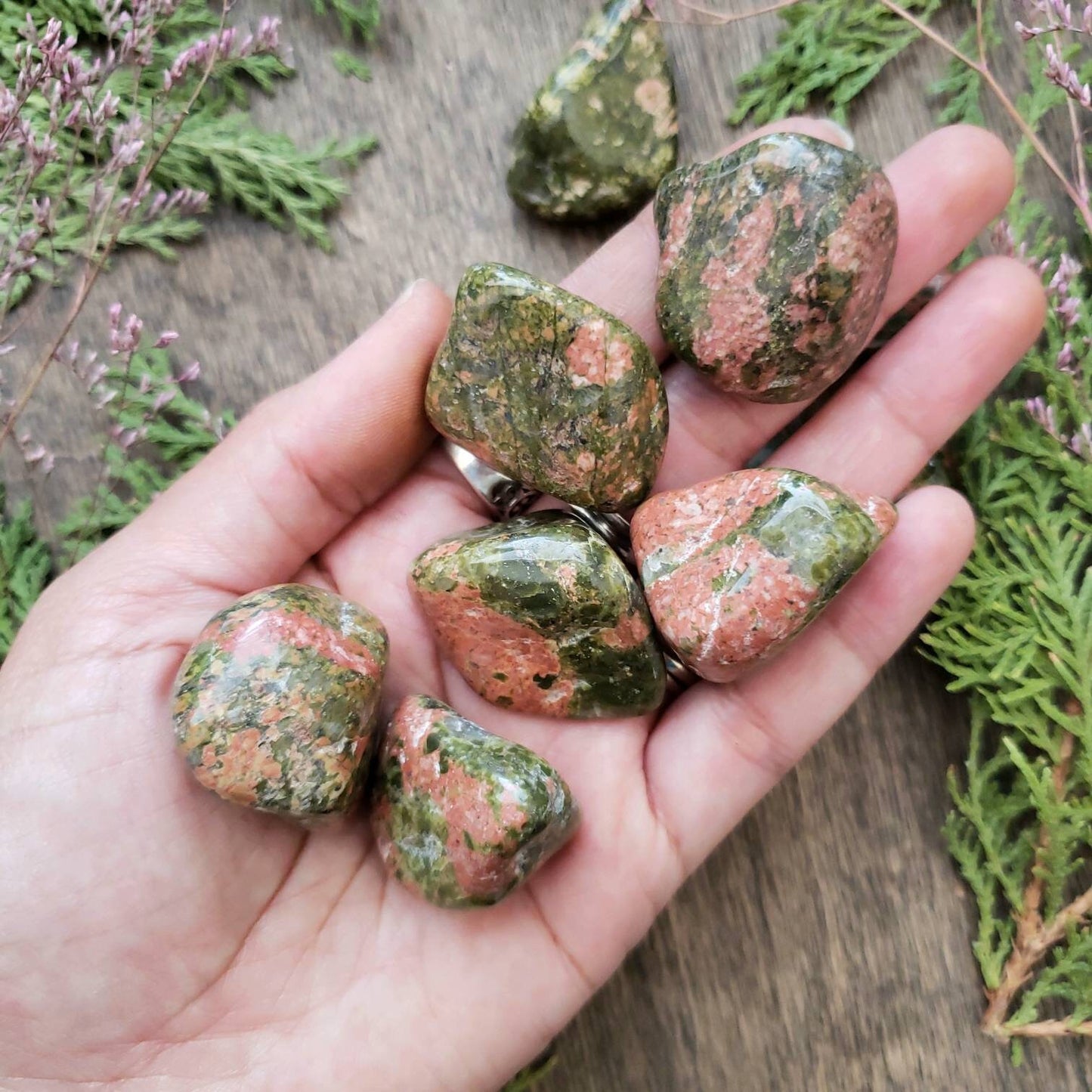 Unakite Tumbled Crystal | Grid Gemstone | Natural Gemstones | Meditation | Crystal Grids | Magick | Altar Tool | heart Chakra