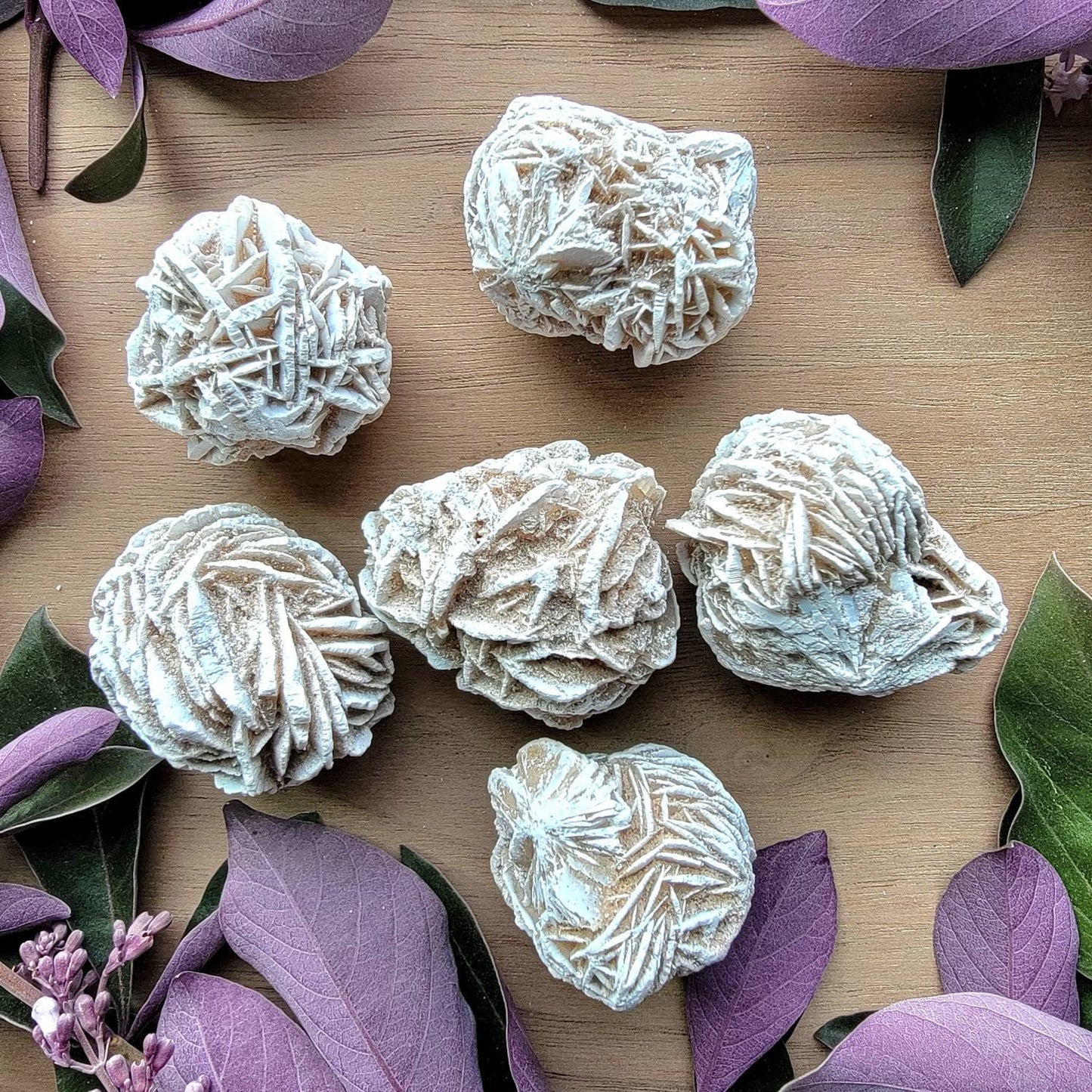 Desert Rose Selenite Crystal | Grid Gemstone | Natural Gemstones | Meditation | Crystal Grids | Magick | Altar Tool | Crown Chakra