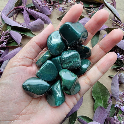 Bloodstone Tumbled Crystal | Grid Gemstone | Natural Gemstones | Meditation | Crystal Grids | Magick | Altar Tool |