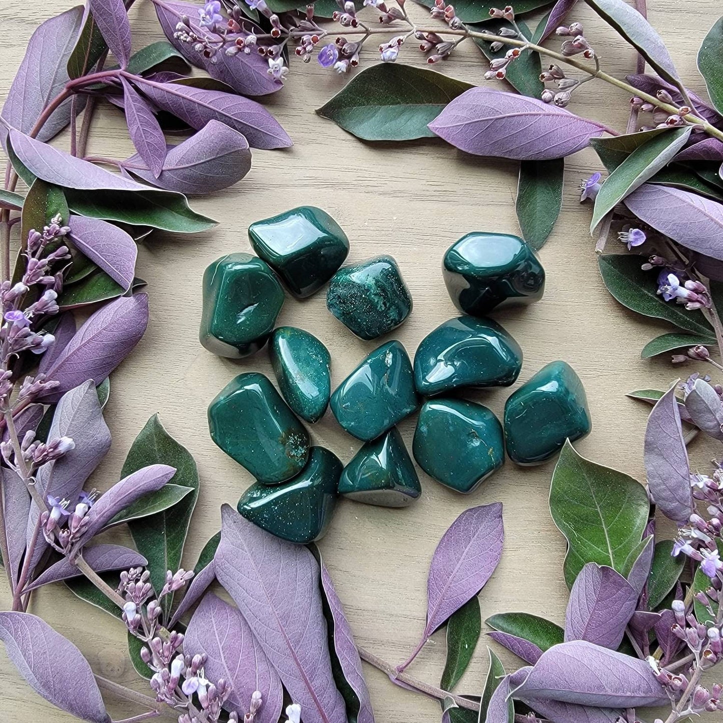 Bloodstone Tumbled Crystal | Grid Gemstone | Natural Gemstones | Meditation | Crystal Grids | Magick | Altar Tool |