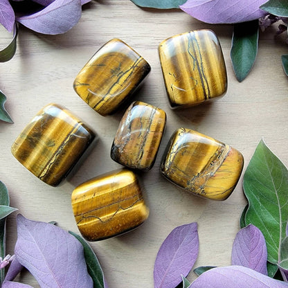 Tiger Eye Square Tumbled Crystal | Grid Gemstone | Natural Gemstones | Meditation | Crystal Grids | Magick | Altar Tool |