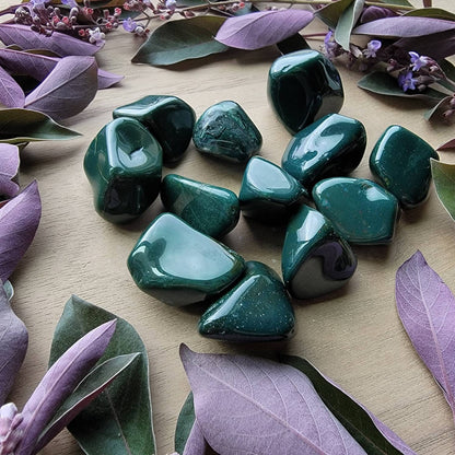 Bloodstone Tumbled Crystal | Grid Gemstone | Natural Gemstones | Meditation | Crystal Grids | Magick | Altar Tool |