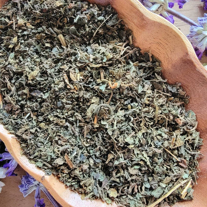 Dried Stinging Nettle | Urtica dioica | Smoking Herb | Dream herb | Herb leaf | Witchcraft herbs | herbal tea | Witches Apothecary