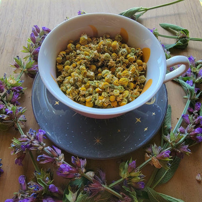 Dried Chamomile Flowers | Flower tea | Witchcraft herbs | herbal tea | Magic supplies | Witches Apothecary