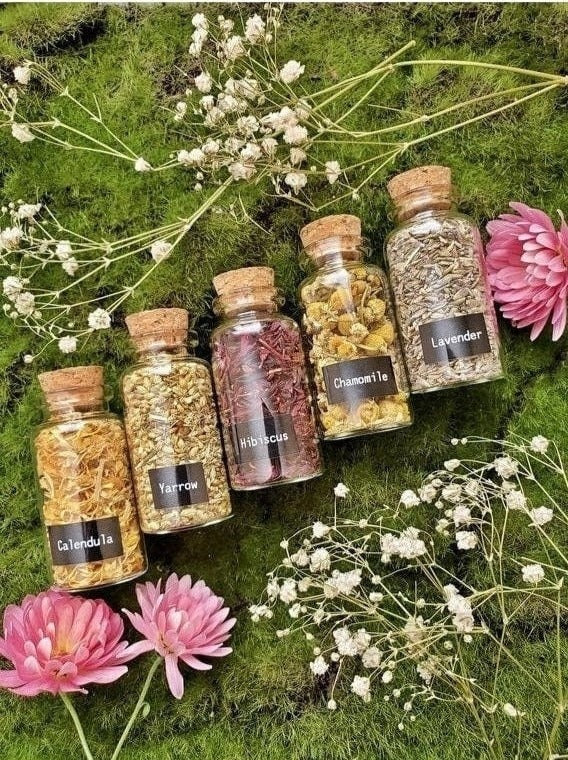 1.5 oz Herbal Bottles | Dried herb vial | Witchcraft herbs | Witches Apothecary | herbal tea | Spell supplies | loose incense  | H