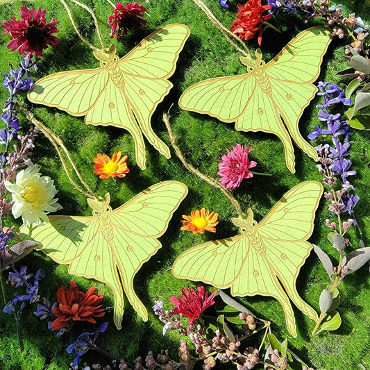 Luna Moth wood ornament | wood wall Art |Green Moth | Actias Luna | American moon moth | giant silk moth |