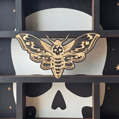 Death Head Moth Apothecary Shelf | Crystal Shelf | oddities display | crystal storage | crystal shelves