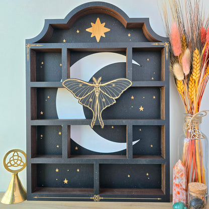 Luna Moth Shelf | Apothecary Cabinet | Crystal Shelf | oddities display | crystal storage | crystal shelves