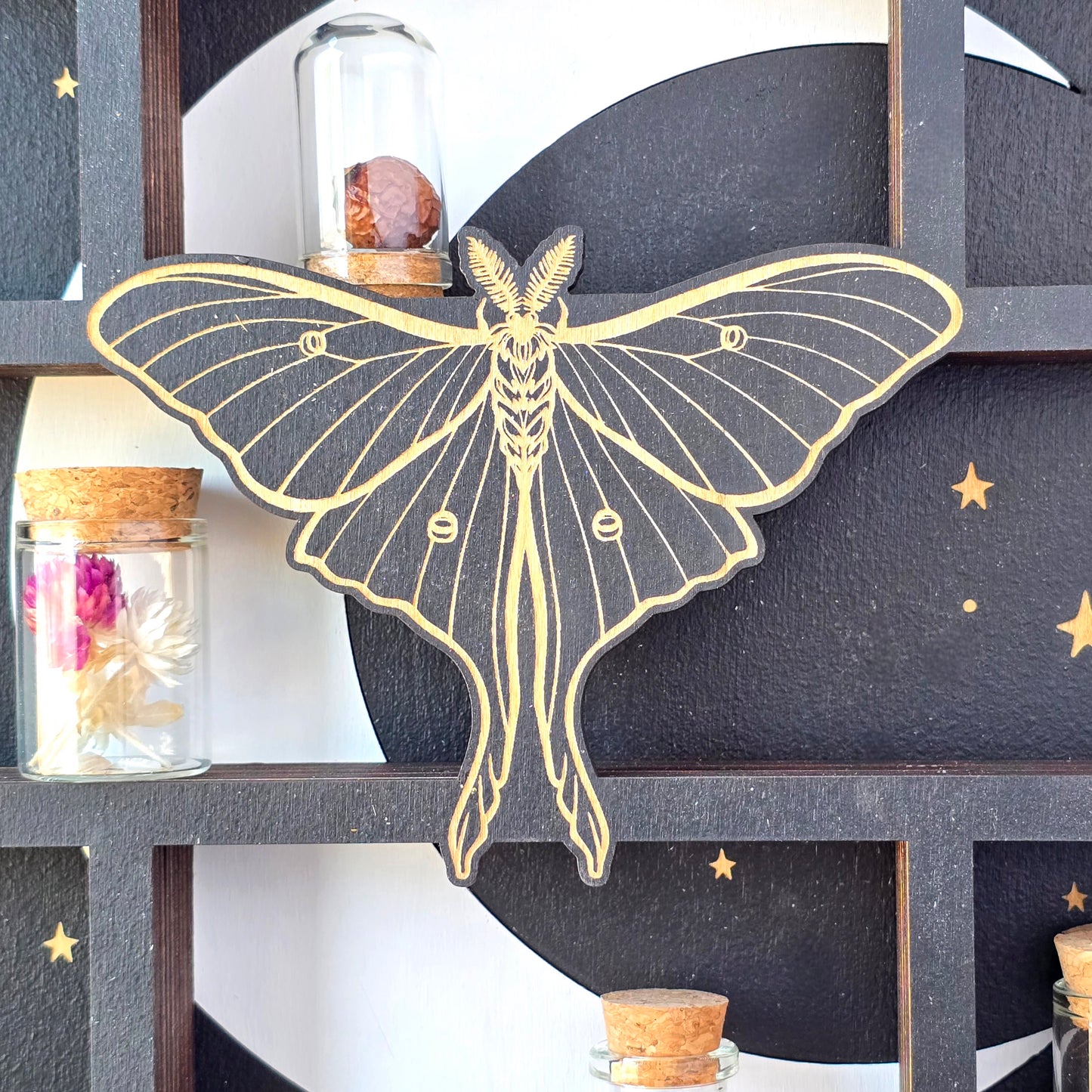 Luna Moth Shelf | Apothecary Cabinet | Crystal Shelf | oddities display | crystal storage | crystal shelves