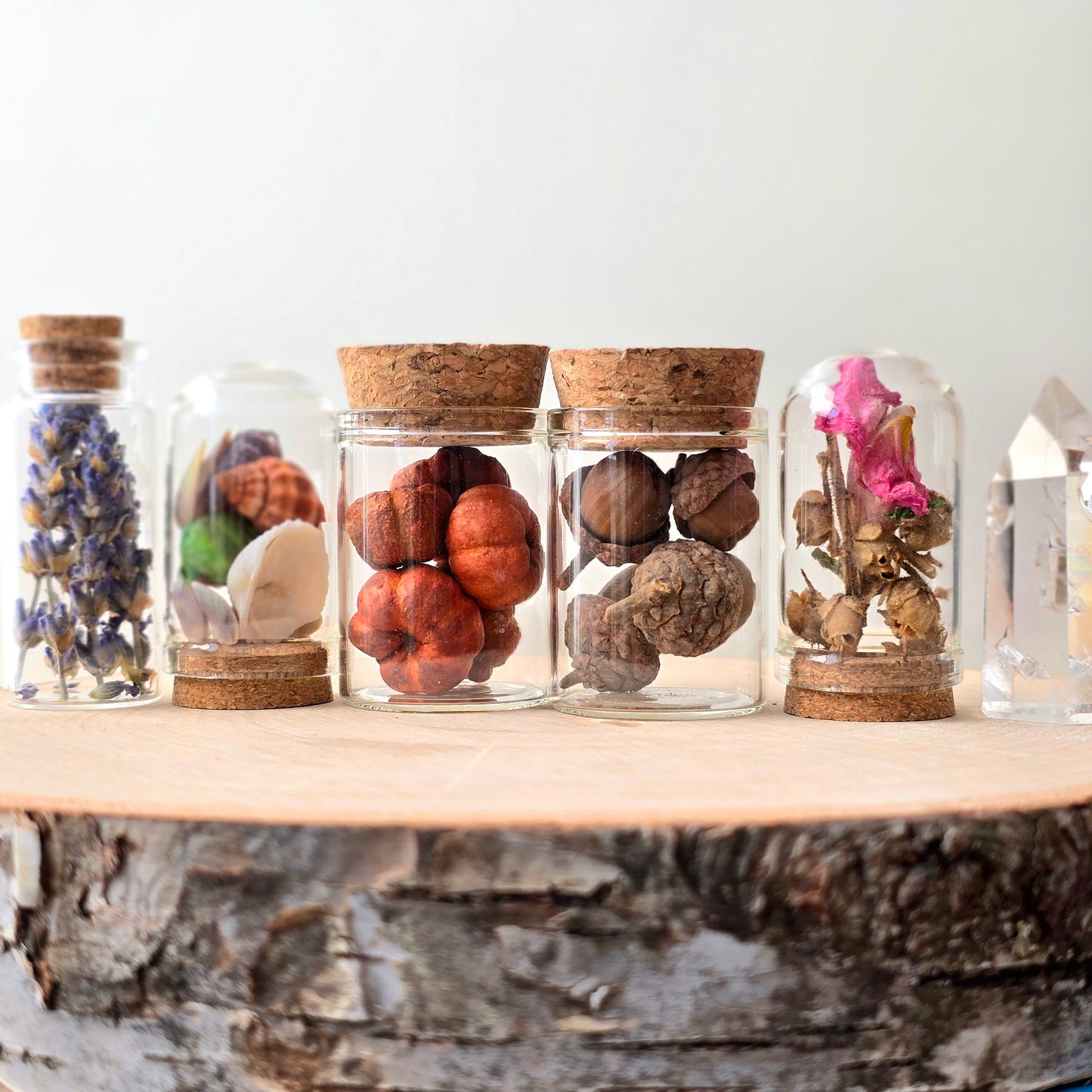 Botanical Spirits Curio Kit | curiosity cabinet items | oddities and crystals | curiosity trinkets