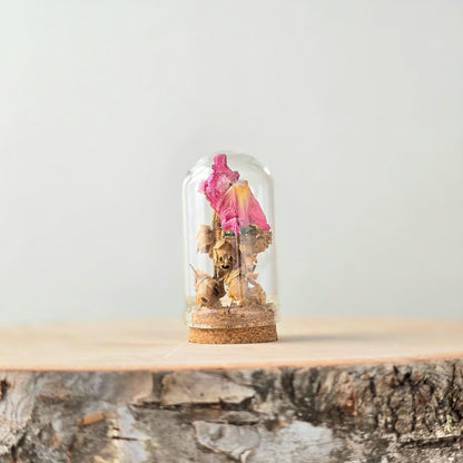 Botanical Spirits Curio Kit | curiosity cabinet items | oddities and crystals | curiosity trinkets