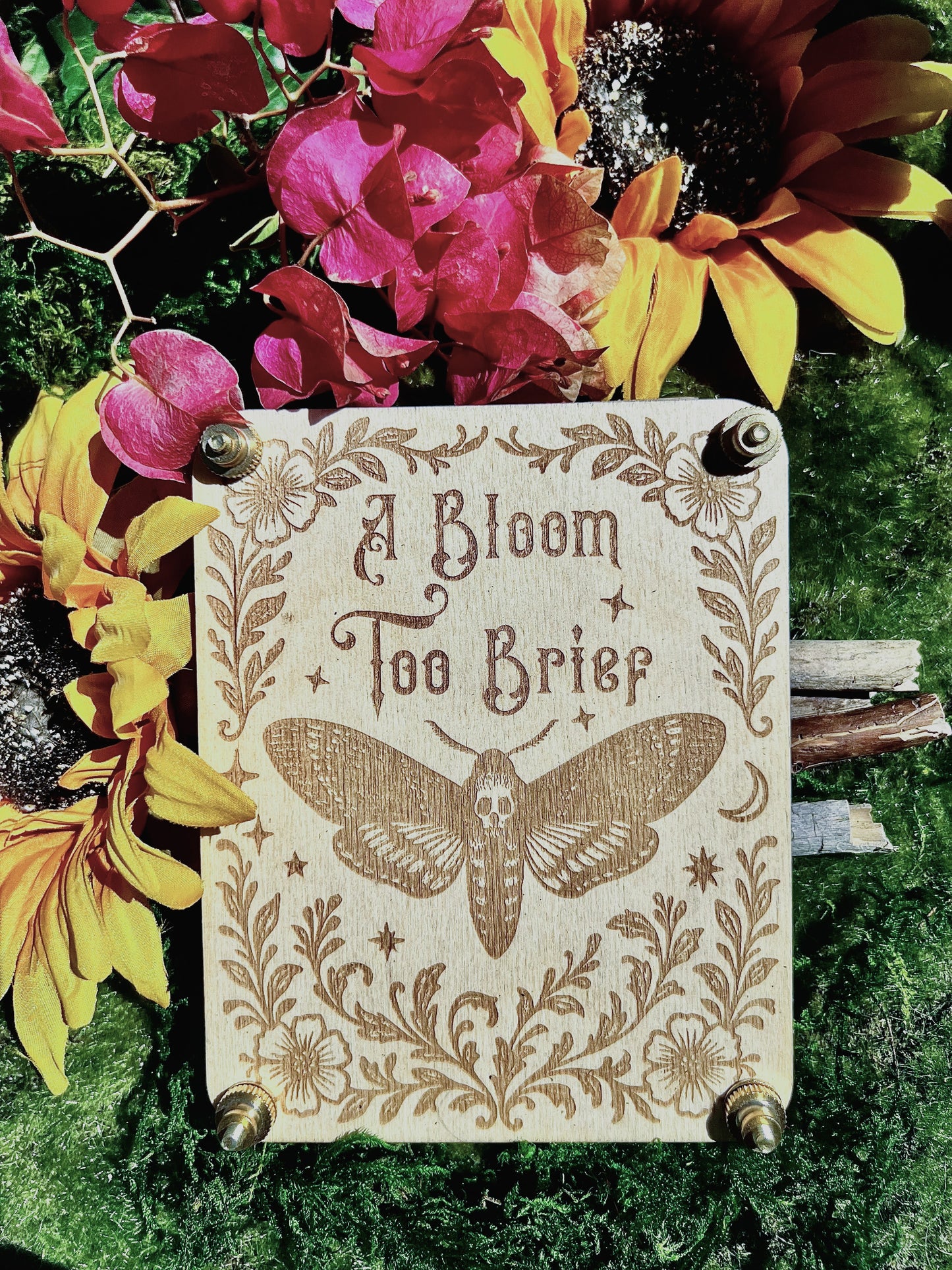 A Bloom Too Brief Flower Press – Small