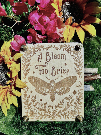 A Bloom Too Brief Flower Press – Small
