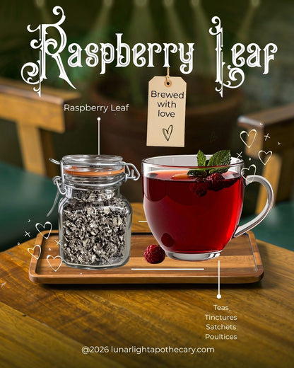Organic Raspberry Leaf | Herbal Tea | Witchcraft Herbs | Loose Herbs | Witch's Apothecary