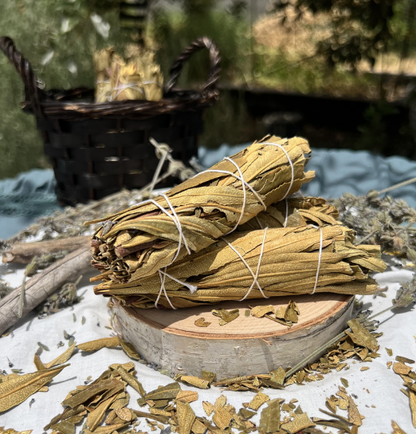 Yerba Santa Smudge Bundle | Healing, Protection & Spiritual Growth
